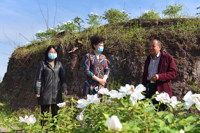 程冬梅带队深入人大代表产业扶贫基地调研